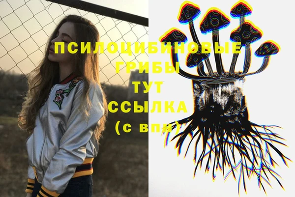 твердый Коряжма