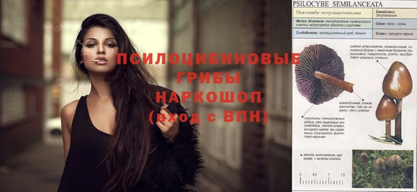 твердый Коряжма