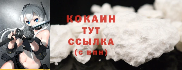 твердый Коряжма