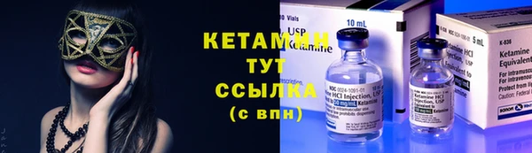 твердый Коряжма