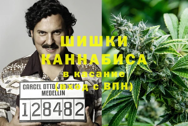 твердый Коряжма