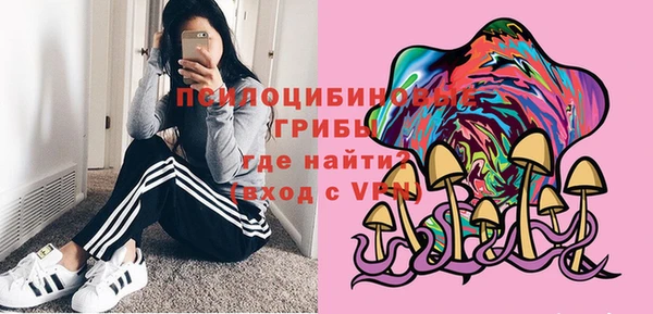 дживик Корсаков