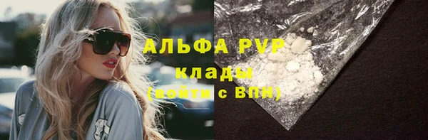 твердый Коряжма