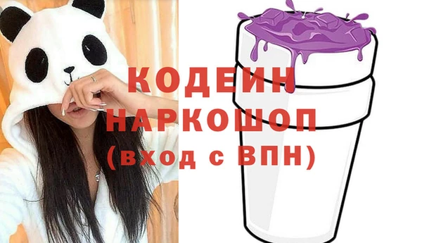 дживик Корсаков