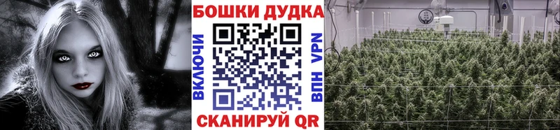 Шишки марихуана VHQ  mega ONION  Шилка  что такое наркотик 